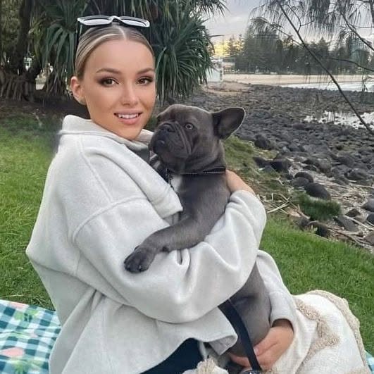 Blue French Bulldog puppy in the arms of his new owner at the beach
